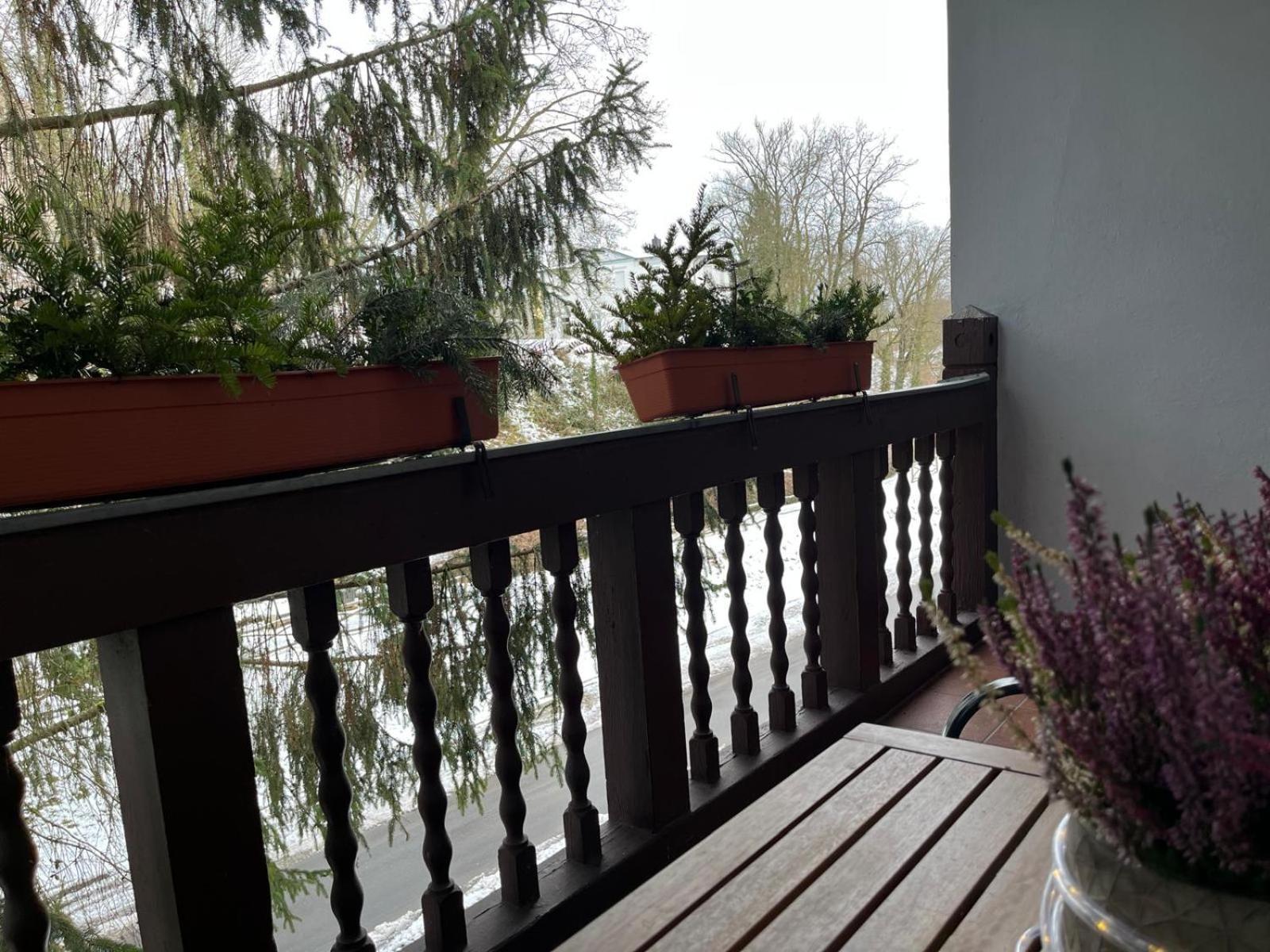 Villa Regina Bad Freienwalde Exterior foto